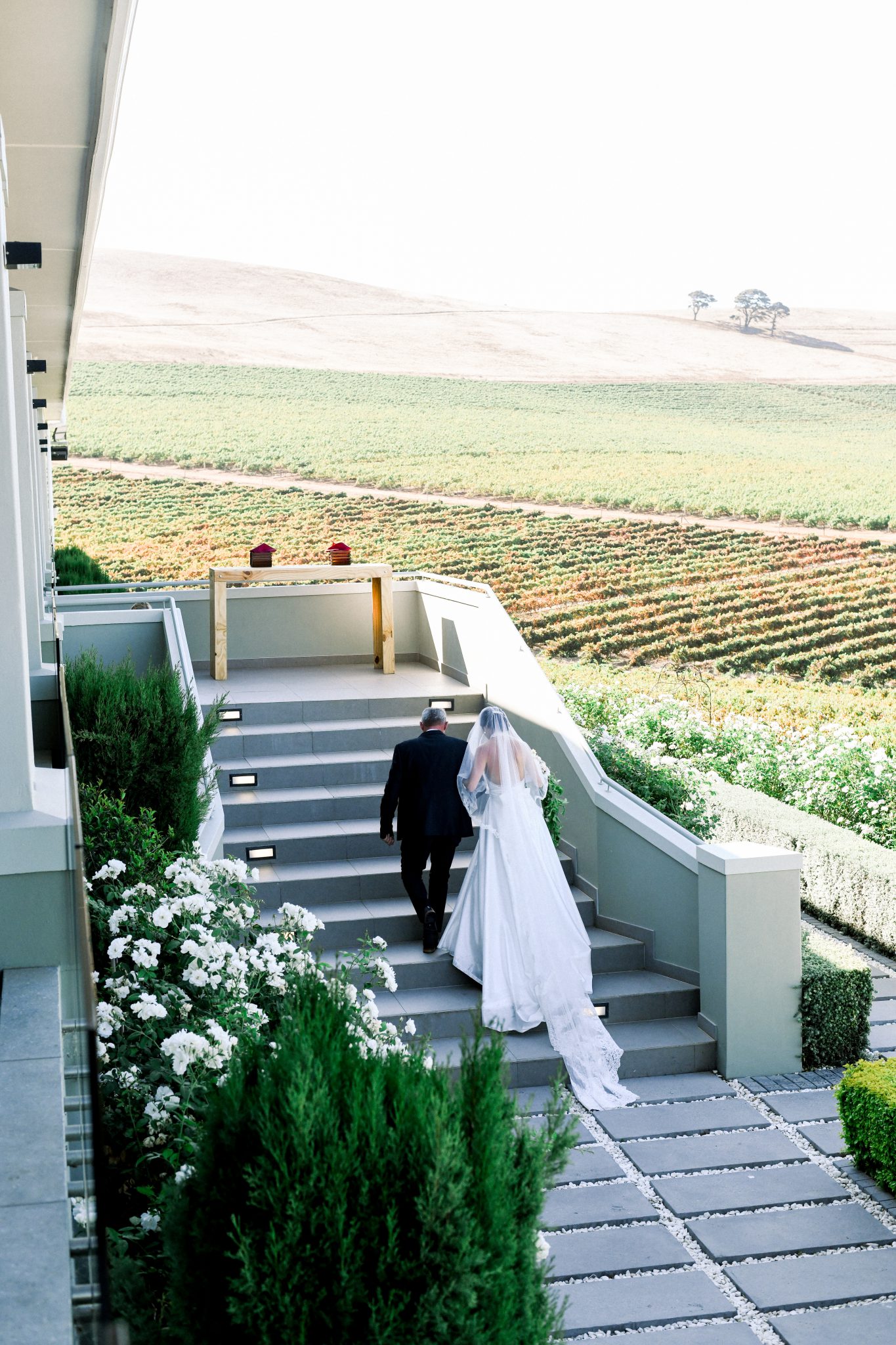 Nic and Dene wedding photo 10